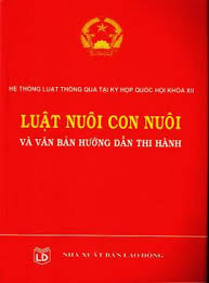 Điều kiện xác lập quan hệ nuôi con nuôi